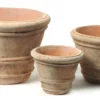 Aged pot Coni
