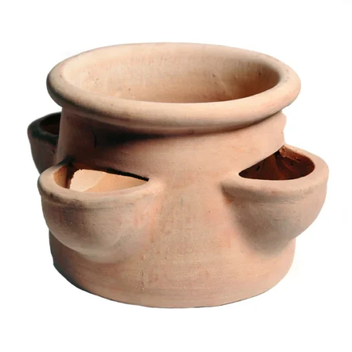 Strawberry pot roodsteen - Aardbeienpot