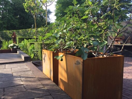 Cortenstaal bak 80x80x60 - Afbeelding 3