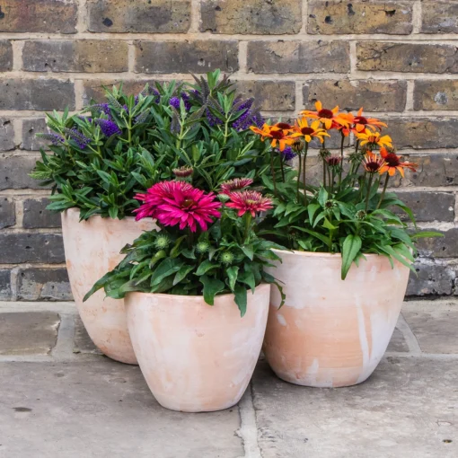 Whitswash Egg Pot - Afbeelding 2