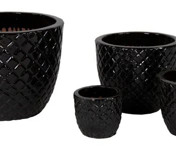 Glazed Egg Pineapple Shiny Black
