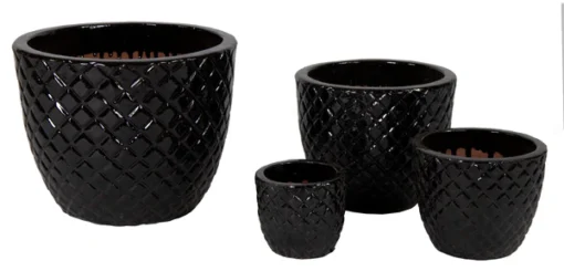 Glazed Egg Pineapple Shiny Black