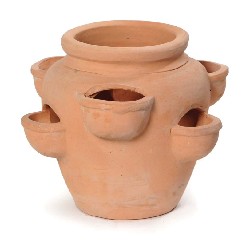 Strawberry pot