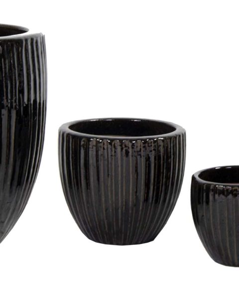 Portly Egg Rib Shiny Black