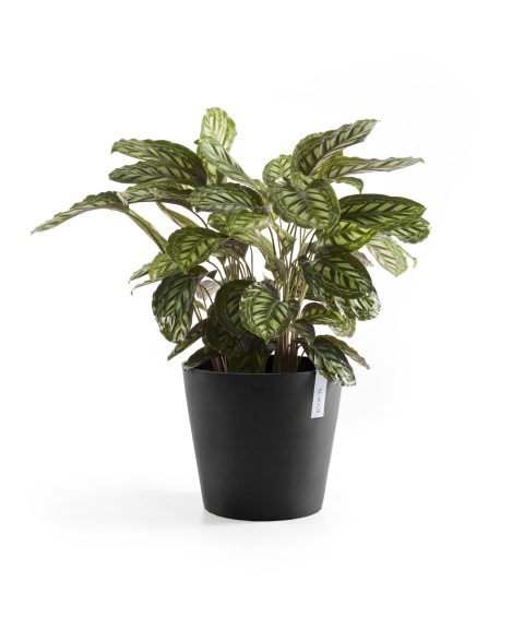Ecopots Amsterdam Donkergrijs