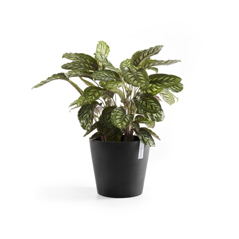 Ecopots Amsterdam Donkergrijs