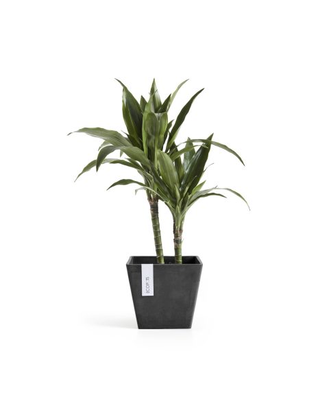 Ecopots Rotterdam Donkergrijs