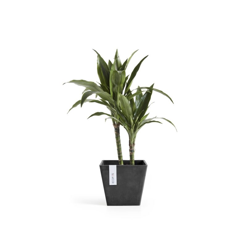 Ecopots Rotterdam Donkergrijs