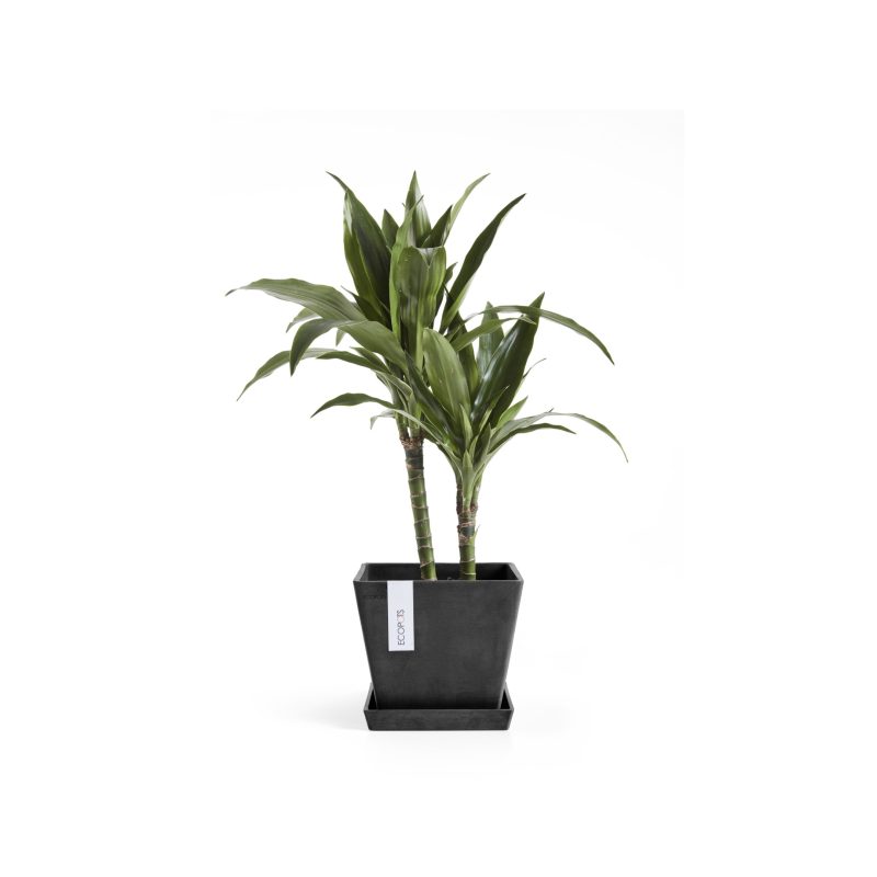 Ecopots Rotterdam Grijs - Afbeelding 2
