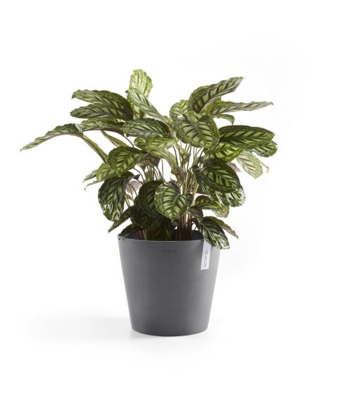 Ecopots Amsterdam Grijs