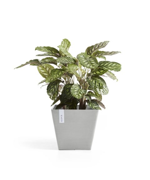 Ecopots Rotterdam Witgrijs