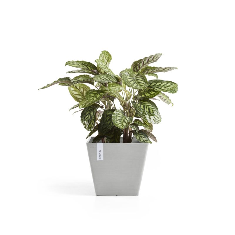 Ecopots Rotterdam Witgrijs