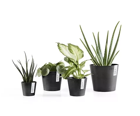 Ecopots