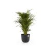 Ecopots Oslo Donkergrijs