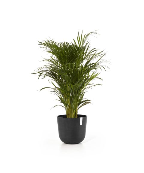 Ecopots Oslo Donkergrijs
