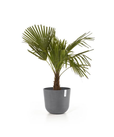 Ecopots Oslo Grijs