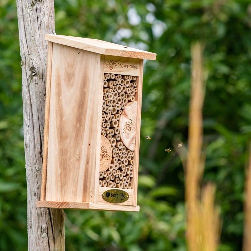 Insectenhotel - Afbeelding 4
