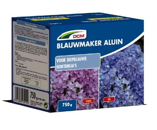 Blauwmaker Hortensia's - Aluin