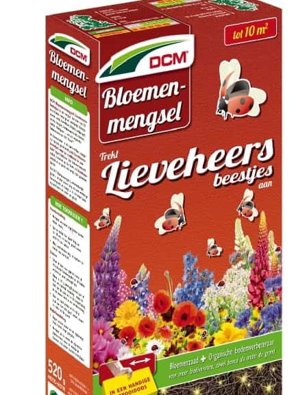 Bloemenmengsel voor lieveheersbeestjes
