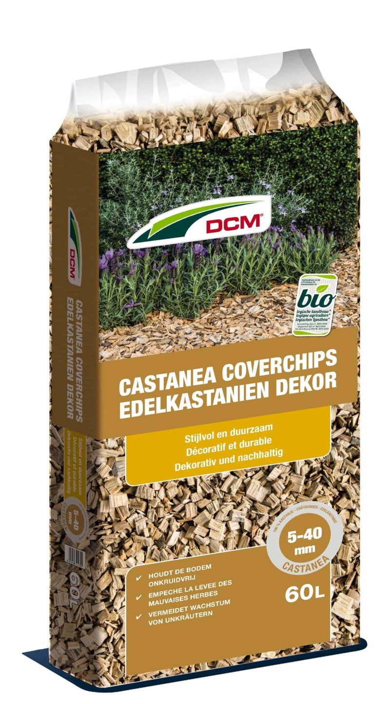 Castanea coverchips