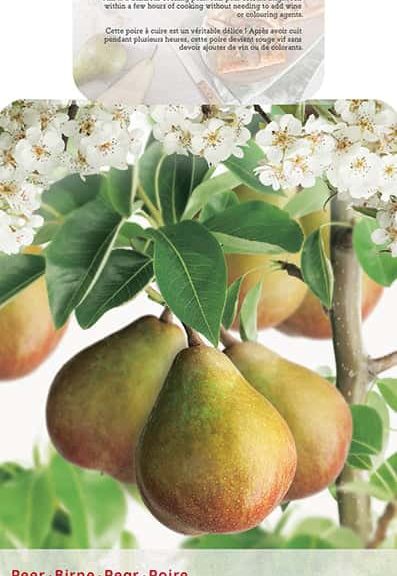 Pyrus Gieser Wildeman
