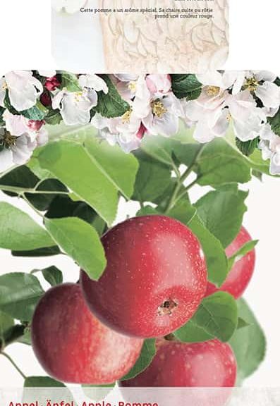 Malus domestica 'Sterappel'