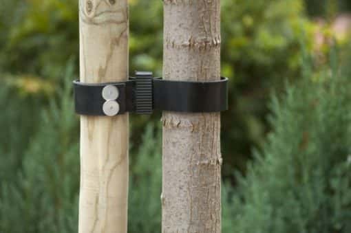 Spijkerboomband van rubber - Afbeelding 3