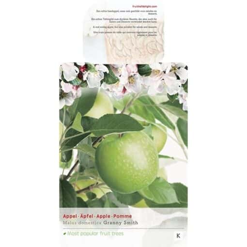 Malus domestica 'Granny Smith'