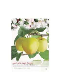 Malus domestica 'Golden Delicious'
