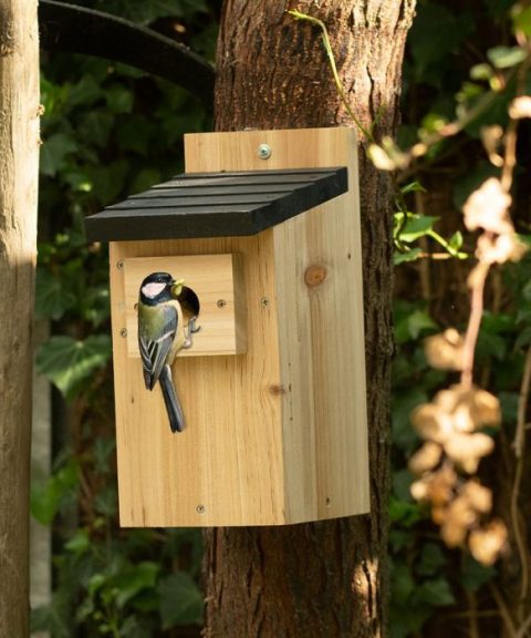 Nestkast Kolding 32 mm