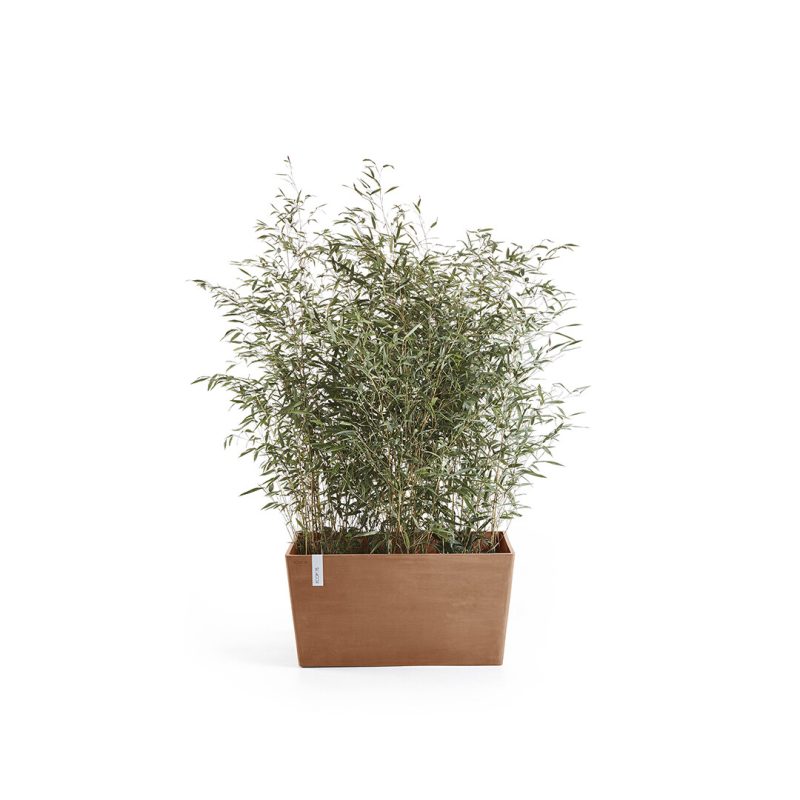 Ecopots Paris Terra