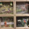 Buiten schilderij - Voederhuis 4 afbeeldingen
