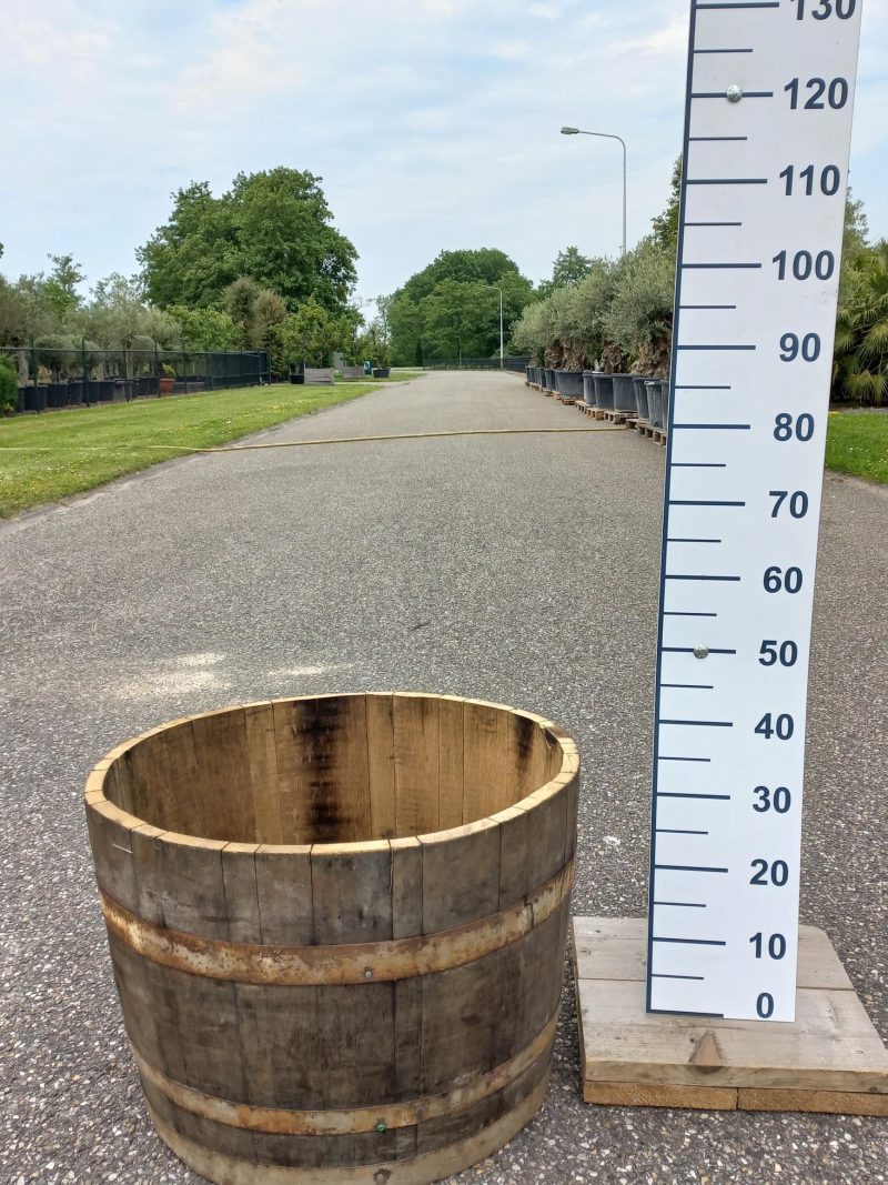 Whiskyvat