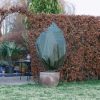 Winterafdekhoes met koord 50g/m2 groen
