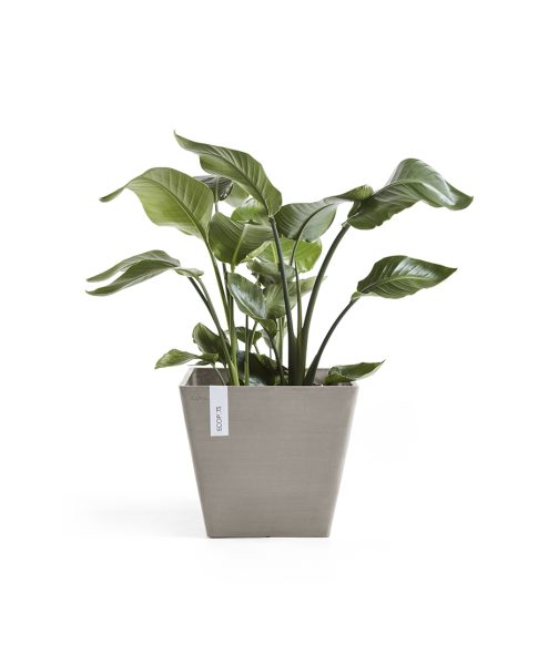 Ecopots Rotterdam Taupe