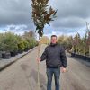 Groenblijvende Magnolia (Magnolia grandiflora 'Galissonière')